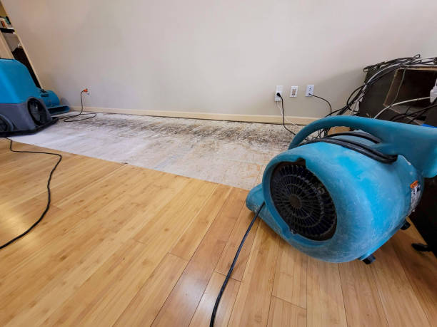 Professional Basement Flood Cleanup technician working in Ashland City, TN